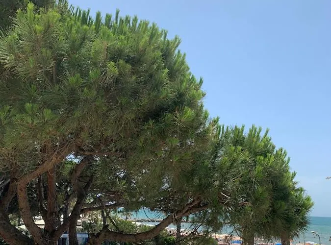 Apartment Fiona's Sea View Golem (Tirana)